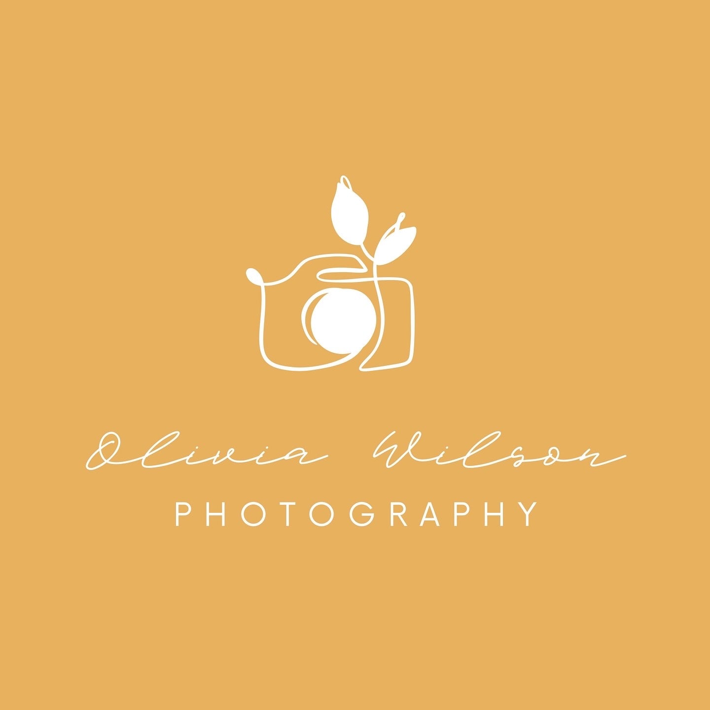 Custom Luxury Brand Identity (Logo and Business Card System) | 7-10 Business Days